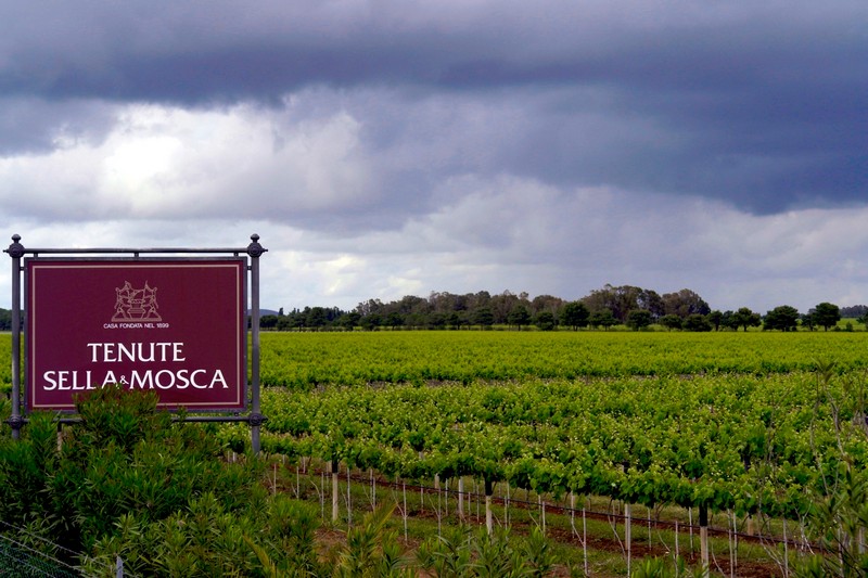 Campari con Clifford Chance esce dal mercato dei vini fermi italiani